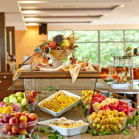 Maritim Amelia 5* アルベナ